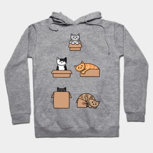 Cats In Boxes Hoodie